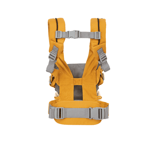 Joie Savvy Baby Carrier