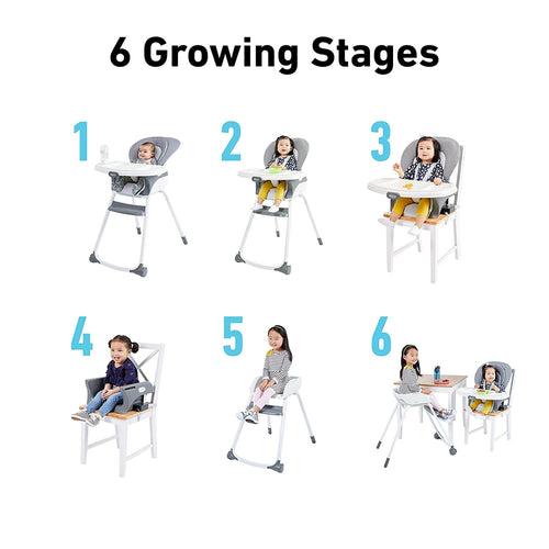 Graco Made2Grow 6 in 1 High Chair, Tasha