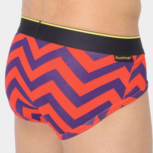 Brief - Chevron