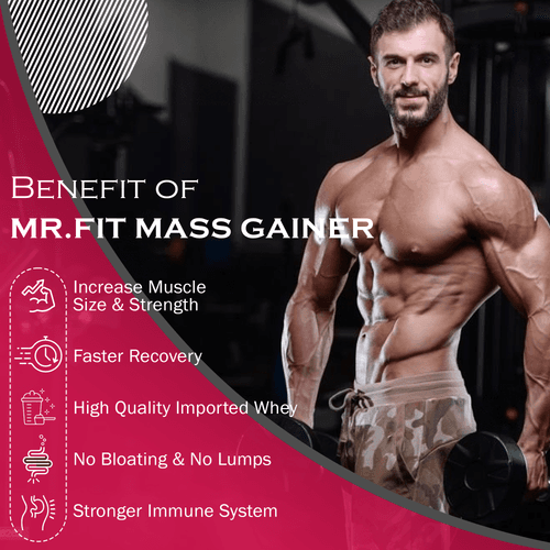 MR. FIT SUPER FAST MASS GAINER