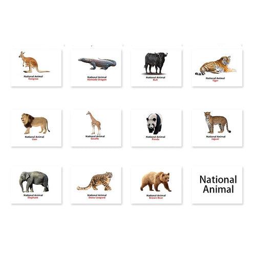 National Animal Flash Cards