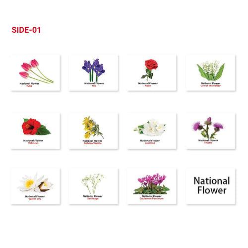 National Flower Flash Cards