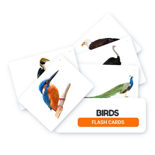 Birds Flash Cards