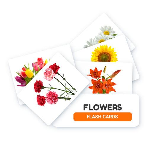 Flowers Flash Cards