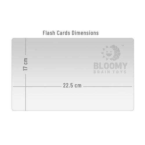 World Currency Flash cards