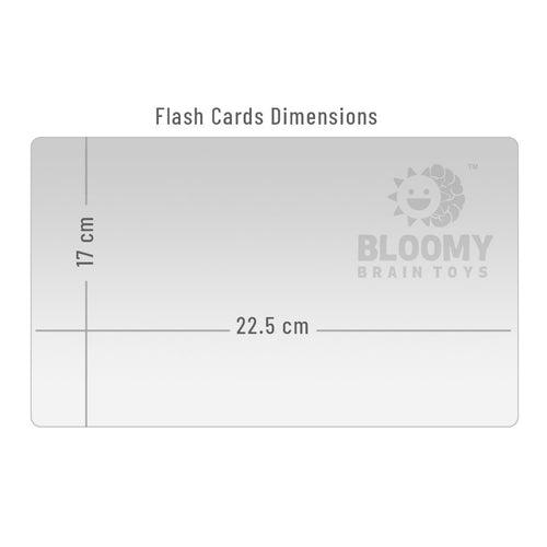 Transports Flash Cards