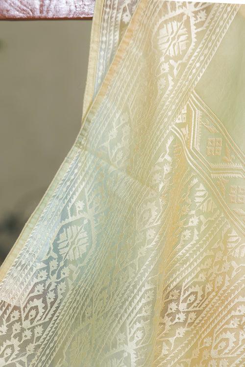 Jamdani Inspired - Embroidered Organza Saree