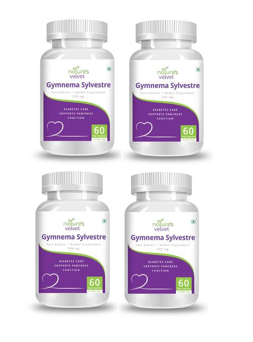 Gymnema Sylvestre - Supports Sugar Levels & Pancreas Function