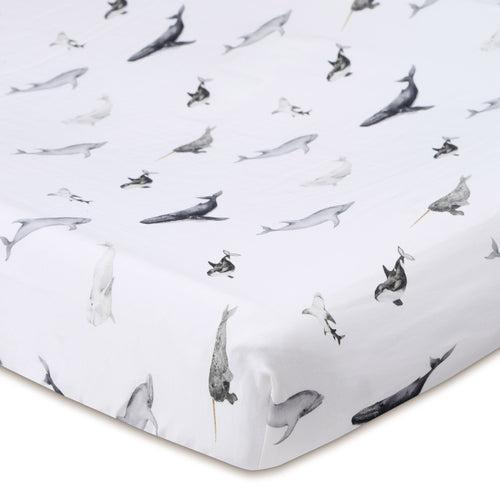 Sea Life- Fitted Changing Pad Sheets in Organic Cotton