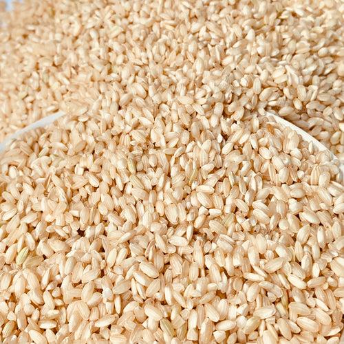 Unpolished Bahurupi Rice-Native-Desi Rice