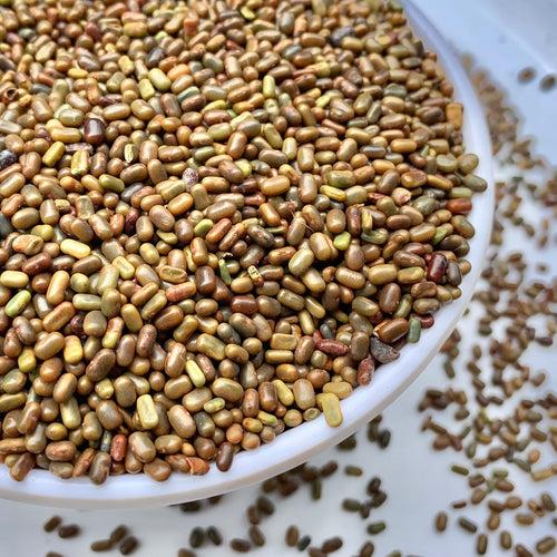 Sesbania Seeds-Jeeluga Vithanalu-Dhaincha Beej