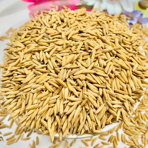 K3 Maharaj Paddy Seeds For Cultivation