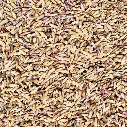 Manipuri Black Paddy Seeds-Chakhao Black Paddy