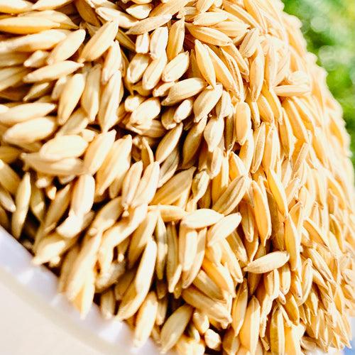 MTU-1282 Paddy Seeds-Andhra Pradesh