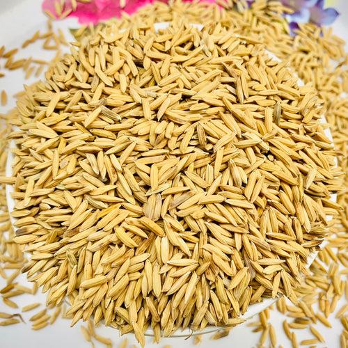 K3 Maharaj Paddy Seeds For Cultivation