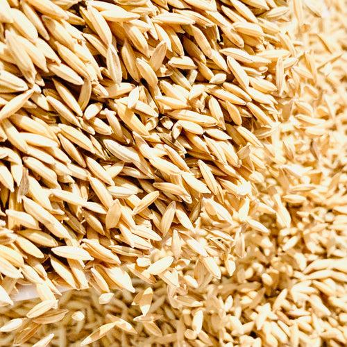 MTU-1282 Paddy Seeds-Andhra Pradesh