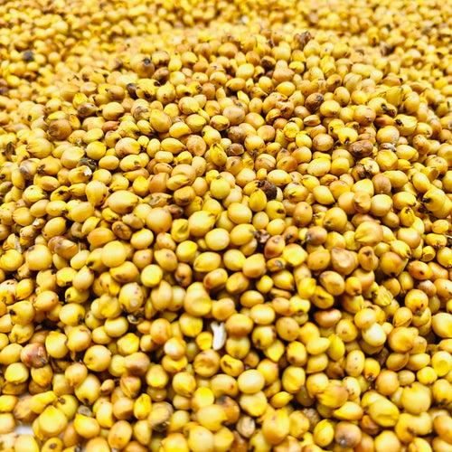 Green Sorghum Grains-Jowar-Pacha Jonnalu-1 Kg Pack