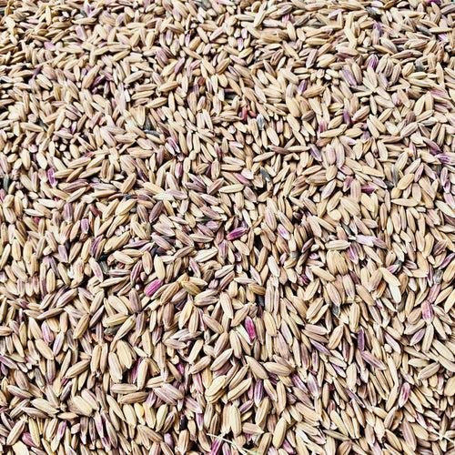 Manipuri Black Paddy Seeds-Chakhao Black Paddy