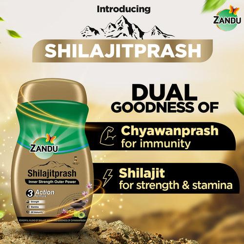 Zandu Shilajitprash 900g