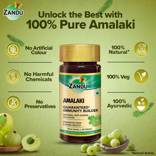 Zandu Amalaki  (60 Tablets)