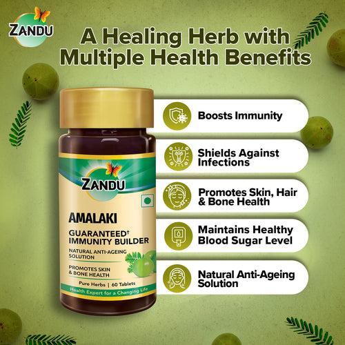 Zandu Amalaki  (60 Tablets)