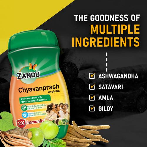 Chyavanprash Avaleha (450g) (Pack of 2)