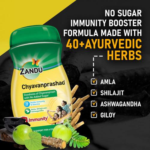 Zandu Chyavanprashad Sugar Free 900g 50 rs off (2X Immunity & Stamina)