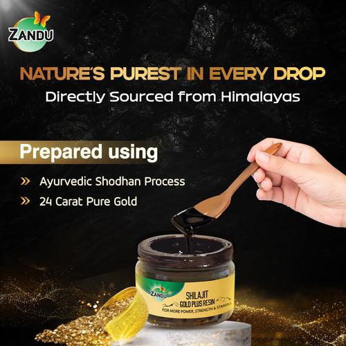 Zandu Shilajit Gold Plus Resin 20g