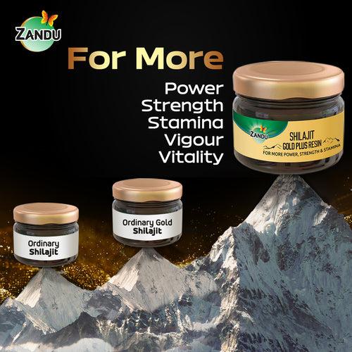 Zandu Shilajit Gold Plus Resin 20g