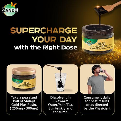 Zandu Shilajit Gold Plus Resin 20g