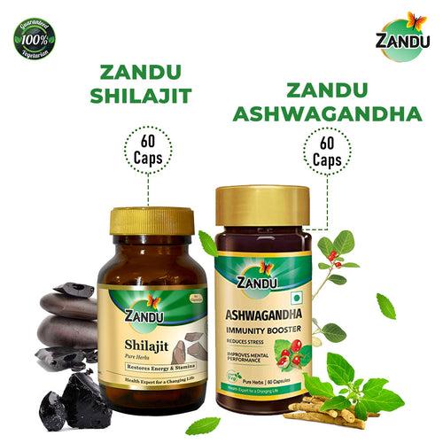 Zandu Shilajit & Ashwagandha Capsules (60 Caps)