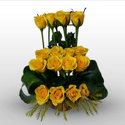 Orderly Yellow roses