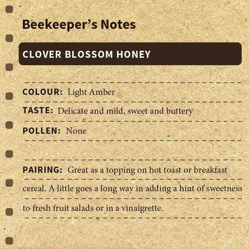 Clover Blossom Honey
