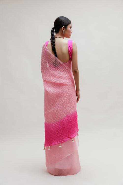 Bandhani on Organza Saree in Pink and Rani