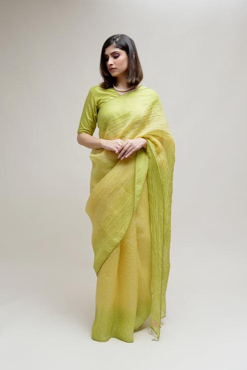 Bandhani on Pure Organza Saree - Shaded Lime Green