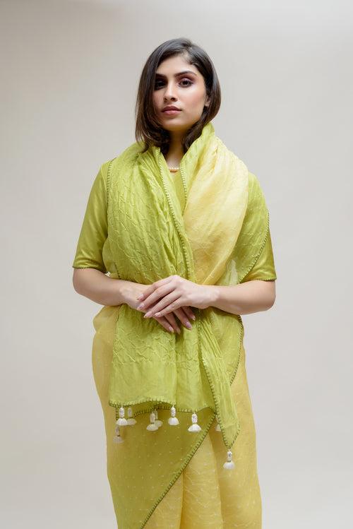 Bandhani on Pure Organza Saree - Shaded Lime Green