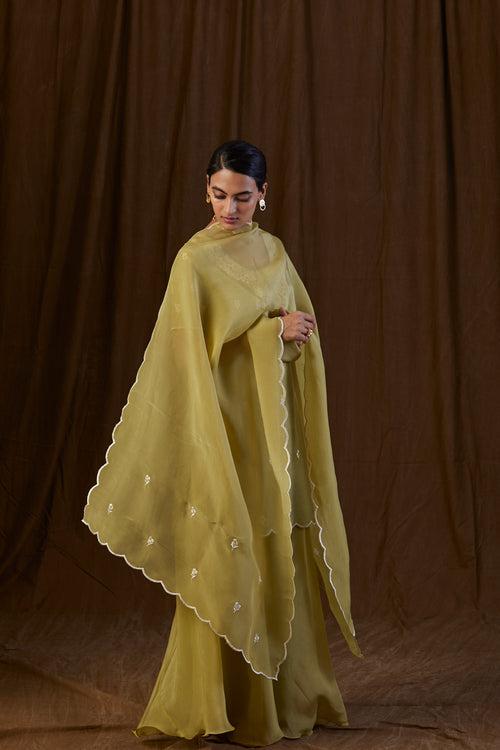 Olive Green Floral Silk Chanderi Sharara Set