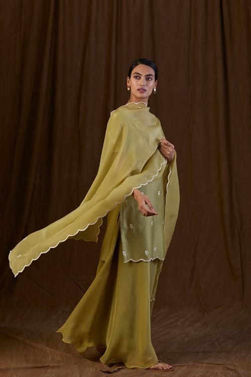 Aahana Kumra in Olive Green Floral Silk Chanderi Sharara Set
