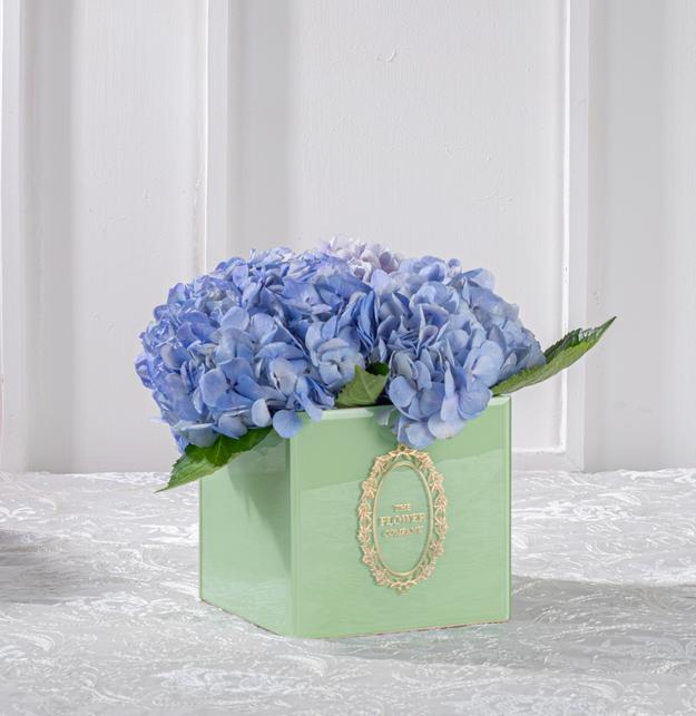 Hydrangeas – Glass Cubo