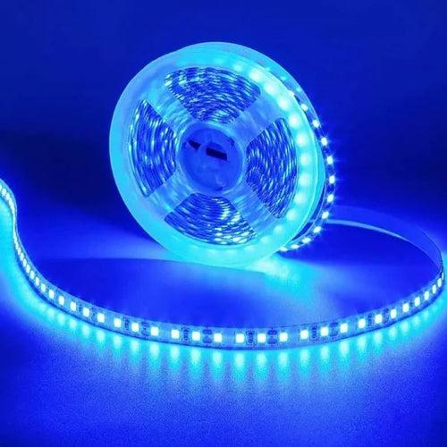 12V 8mm 240 LEDs/m Blue color LED Strip 5 meter