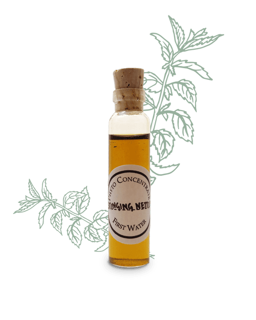 Stinging Nettle Concentrate