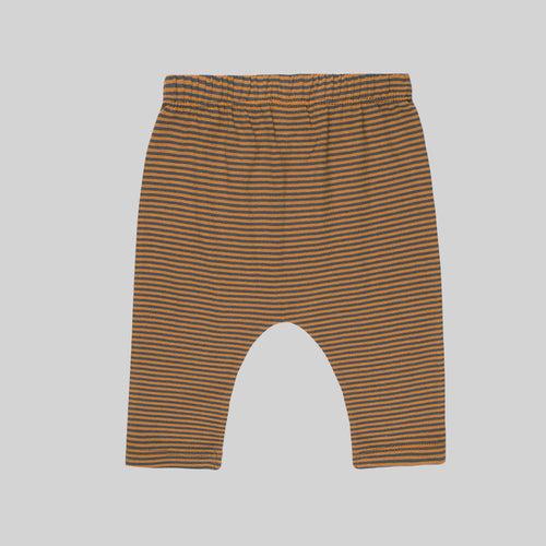 Baby-602 boy Lion Cub 2 Pack Bottoms - Organic cotton