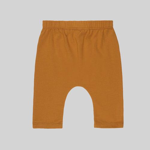 Baby-602 boy Lion Cub 2 Pack Bottoms - Organic cotton