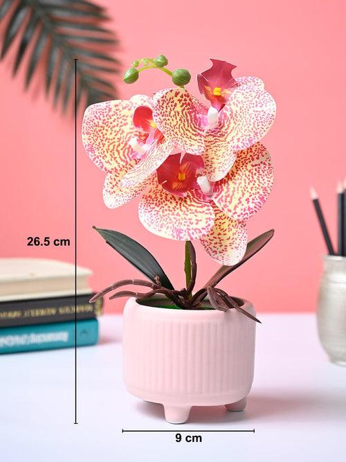 Market99 White Artificial Orchid Flower With Golden Pot