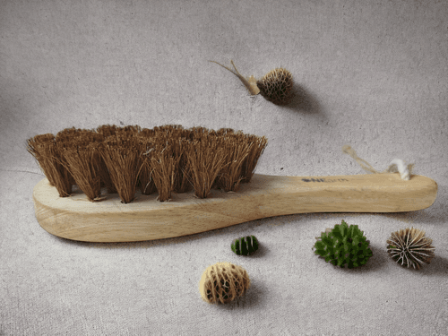 Exfoliating Dry Body Coir Brush