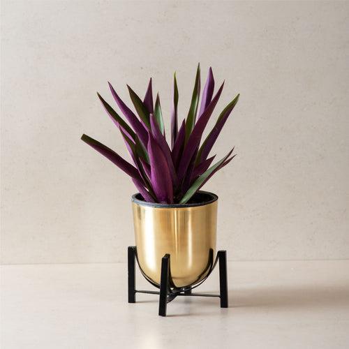 Micro Gold Table Planter