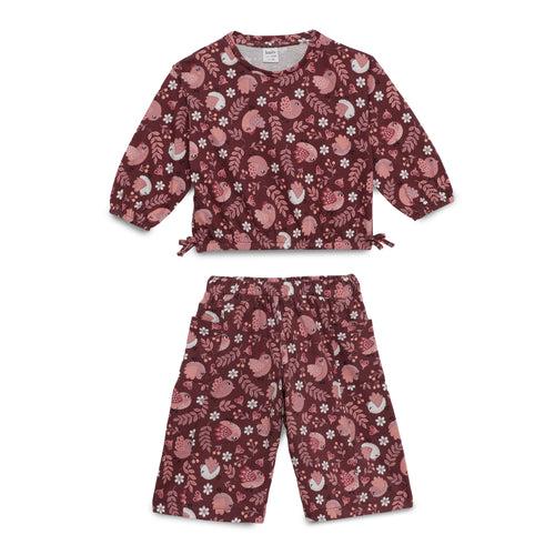 Girls Long Sleeve Top With Ankle Trousers (2pcs Set)