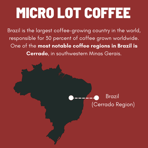 Brazil Cerrado Coffee (Latin America)