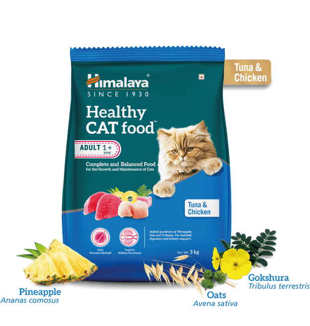 Healthy CAT food Adult - Tuna and Chicken