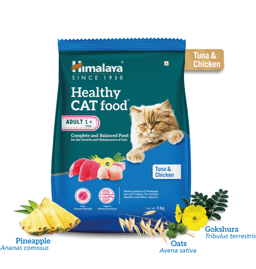 Healthy CAT food Adult - Tuna and Chicken